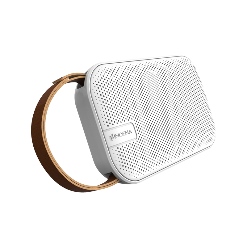INDENA - Started to get into the bluetooth speaker industry
