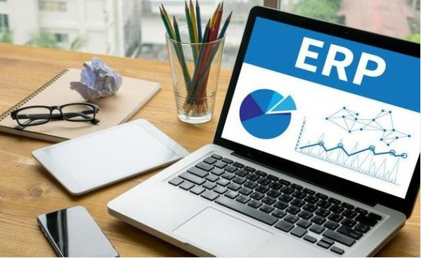 INDENA - Started to use the ERP management system